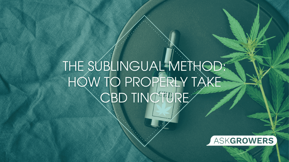 The Sublingual Method: How to Properly Take CBD Tincture
